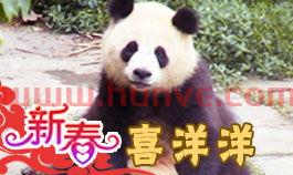 熊猫视频
