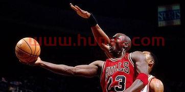 nba球星粉丝排名2015(nba粉丝数量)