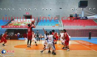 汕头篮球比赛裁判打人(汕头篮球运动员)