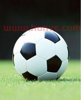 包含外国足球主场横幅标语的词条