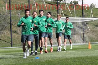 葡萄牙足球国家队网站查询(葡萄牙国家队足球队赛程)