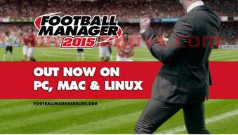 fm2012曼城可以夺冠吗(fm2015曼城)