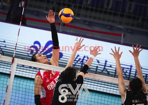 2020中国女排全明星赛（2020全国女排锦标赛）