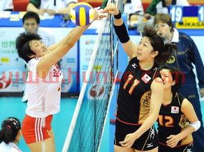 中国女排队员杨昊简介（女排杨昊现在是干什么）