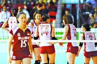 日本和中国女排对比照作文（中国女排和日本队）