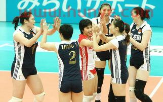 中国女排队员赵雪琪（中国女排赵蕾蕾）