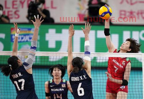 中国女排队员结婚(中国女排队员结婚的有哪些) 中国女排队员结婚(中国女排队员结婚的有哪些)