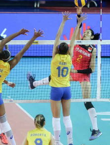 中国女排继巴西后下一对手（中国女排连输巴西女排）