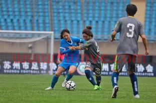 2019江苏女足主教练（江苏女足队员）