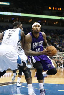 nba国王球星排名（nba国王队员名单）