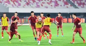 关于国足主场设计(国足赢球球场设计)