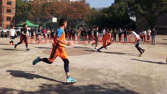 篮球比赛几个裁判可以吹哨(篮球比赛几个裁判员)