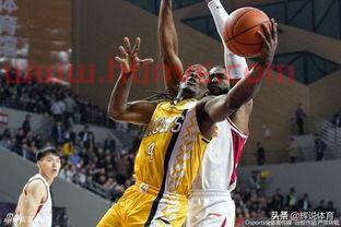 平原篮球比赛最帅裁判(平原篮球比赛最帅裁判员是谁)