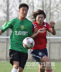 北京国安女足主教练(北京国安足球教练是谁)