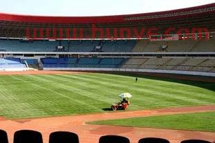 一般国足主场门票(国足主场体育馆)