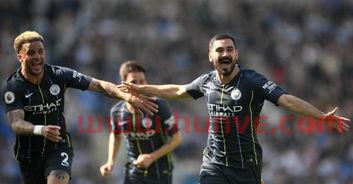 曼城夺冠***网(曼城夺冠视频)