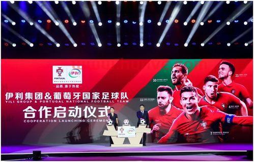 葡萄牙国家队是谁赞助伊利(葡萄牙足球国家队冠军)