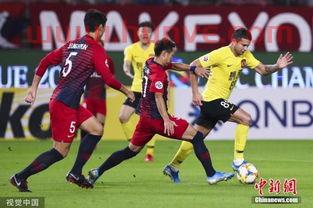 亚冠广州恒大vs鹿岛鹿角(日本球迷热评 亚冠恒大vs鹿岛赛后状况!)