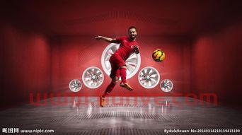 葡萄牙国家队队服是什么(葡萄牙国家队队徽含义)