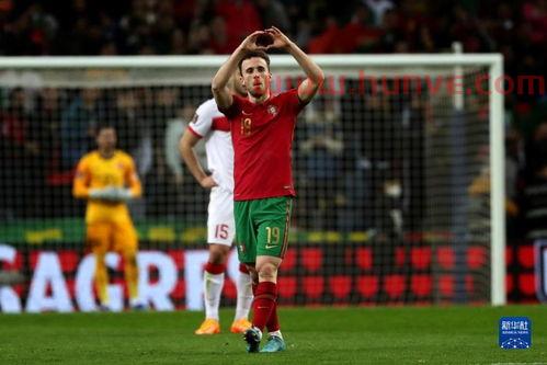 葡萄牙国家队土耳其队球员(葡萄牙对土耳其世界杯)