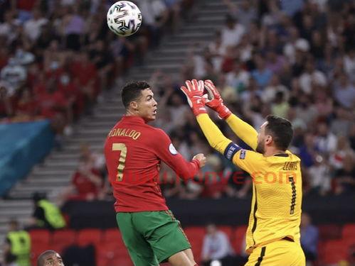 葡萄牙国家队后卫新星球员(葡萄牙足球队后卫)