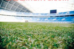 沈阳国足主场位置(沈阳国足主场位置地图)