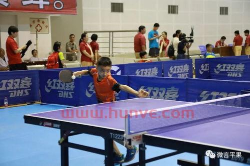 少儿乒乓球赛程(少儿乒乓球锦标赛)